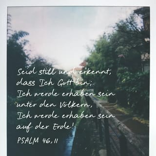 Psalmen 46:10 - (046-11) Seid stille und erkennet, daß ich Gott bin; ich will erhaben sein unter den Völkern, ich will erhaben sein auf Erden.