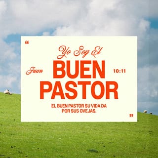San Juan 10:11 - Yo soy el buen pastor; el buen pastor da su vida por las ovejas.