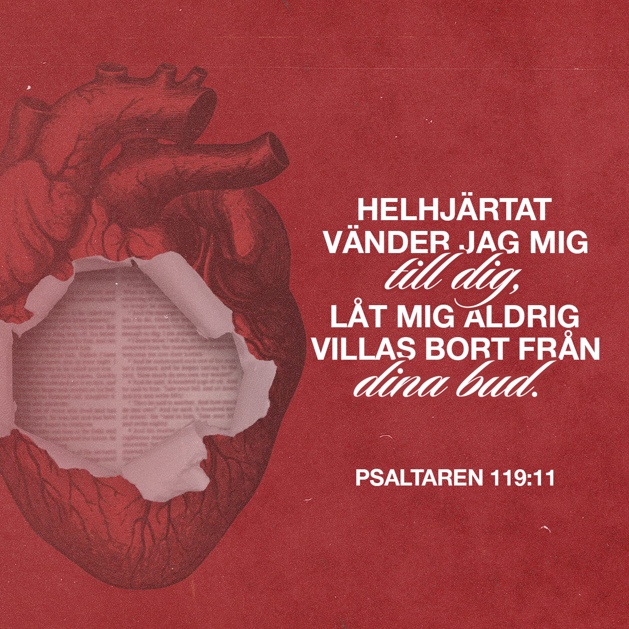 Psaltaren 119:11 - Vad du har sagt bevarar jag i mitt hjärta,
så att jag aldrig syndar mot dig.