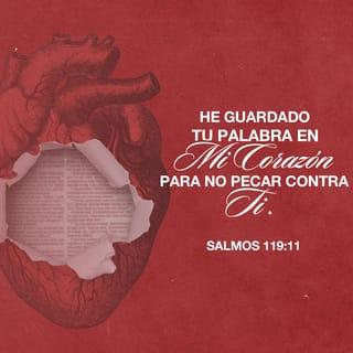 Salmos 119:11 - En mi corazón he atesorado tus palabras,
para no pecar contra ti.