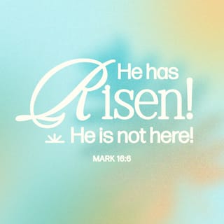 Mark 16:6-7 - And he saith unto them, Be not affrighted: Ye seek Jesus of Nazareth, which was crucified: he is risen; he is not here: behold the place where they laid him. But go your way, tell his disciples and Peter that he goeth before you into Galilee: there shall ye see him, as he said unto you.