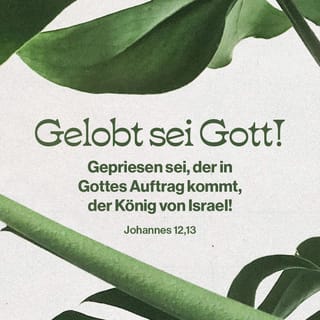 Johannes 12:13 - Mit Palmzweigen in der Hand zogen sie zur Stadt hinaus, um ihn zu empfangen.
»Gepriesen sei Gott!«, riefen sie.
»›Gesegnet sei er, der im Namen des Herrn kommt‹,
der König von Israel!«