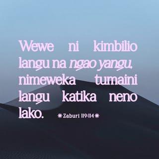 Zaburi 119:114 - Wewe ni ngao yangu, kwako napata usalama;
naweka tumaini langu katika neno lako.