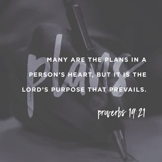 Proverbs 19:21 - We may make a lot of plans,
but the LORD will do
what he has decided.