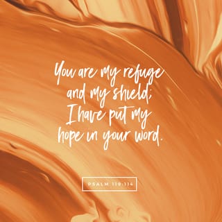 Psalms 119:114 - You are my place of safety
and my shield.
Your word is my only hope.