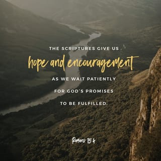 Romans 15:4 - Such things were written in the Scriptures long ago to teach us. And the Scriptures give us hope and encouragement as we wait patiently for God’s promises to be fulfilled.