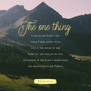 Psalms 27:4 - Here’s the one thing I crave from YAHWEH,
the one thing I seek above all else:
I want to live with him every moment in his house,
beholding the marvelous beauty of YAHWEH,
filled with awe, delighting in his glory and grace.
I want to contemplate in his temple.