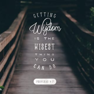 Proverbs 4:6-7 - Do not forsake wisdom, and she will protect you;
love her, and she will watch over you.
The beginning of wisdom is this: Get wisdom.
Though it cost all you have, get understanding.
