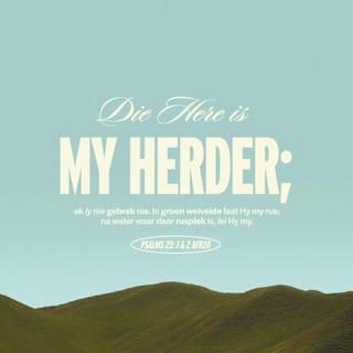 PSALMS 23:1 - 'N PSALM van Dawid.
Die HERE is my herder; niks sal my ontbreek nie.
