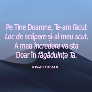 Psalmul 119:114 VDC