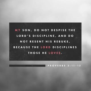 Proverbs 3:11-12 - My child, don’t reject the LORD’s discipline,
and don’t be upset when he corrects you.
For the LORD corrects those he loves,
just as a father corrects a child in whom he delights.