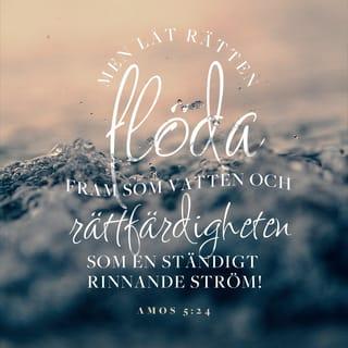 Amos 5:24 - Men låt rätten välla fram som vatten
och rättfärdigheten som en outsinlig ström!
