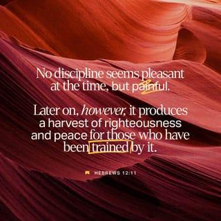 Hebrews 12:11 - Now no chastening seems to be joyful for the present, but painful; nevertheless, afterward it yields the peaceable fruit of righteousness to those who have been trained by it.
