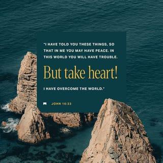 John 16:33 - these things I have spoken to you, that in me ye may have peace, in the world ye shall have tribulation, but take courage — I have overcome the world.’