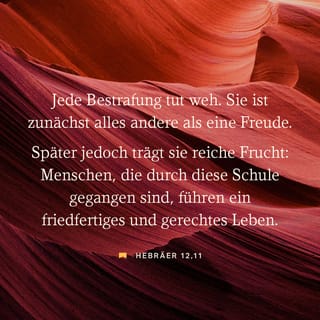 Hebräer 12:11 HFA