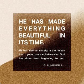 Ecclesiastes 3:11-14 - He hath made every thing beautiful in his time: also he hath set the world in their heart, so that no man can find out the work that God maketh from the beginning to the end. I know that there is no good in them, but for a man to rejoice, and to do good in his life. And also that every man should eat and drink, and enjoy the good of all his labour, it is the gift of God. I know that, whatsoever God doeth, it shall be for ever: nothing can be put to it, nor any thing taken from it: and God doeth it, that men should fear before him.