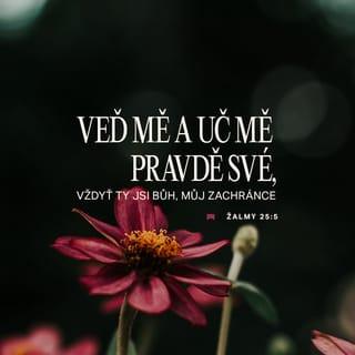 Žalmy 25:4-5 - Ukaž mi, Hospodine, cesty své,
svým stezkám nauč mě.
Veď mě a uč mě pravdě své,
vždyť ty jsi Bůh, můj Zachránce,
na tebe spoléhám každý den!