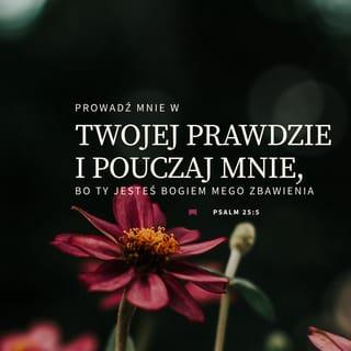 Psalmy 25:5 SNP