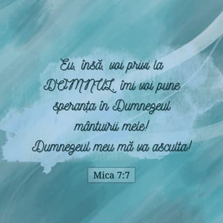 Mica 7:7 VDC