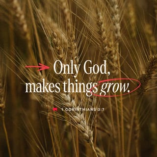 1 Corinthians 3:7 - So neither the one who plants nor the one who waters is anything, but only God, who makes things grow.