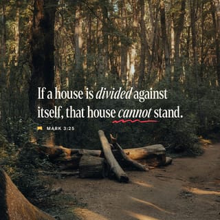 Mark 3:24-25 - If a kingdom is divided against itself, that kingdom cannot stand. And if a house is divided against itself, that house will not be able to stand.