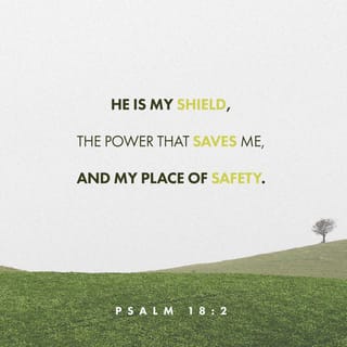 Psalms 18:2 - YAHWEH, you’re the bedrock beneath my feet,
my faith-fortress, my wonderful deliverer,
my God, my rock of rescue where none can reach me.
You’re the shield around me,
the mighty power that saves me,
and my high place.