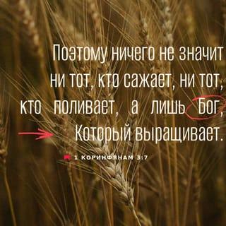1-е к Коринфянам 3:7 - Ни тот, кто сеет зерно, ни кто поливает его, неважны, а только Бог, Который выращивает.