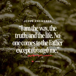 John 14:6 - Jesus answered him, “I am the way, the truth, and the life; no one goes to the Father except by me.