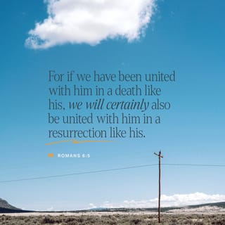 Romans 6:5 - Since we have been united with him in his death, we will also be raised to life as he was.