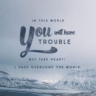 John 16:33 - I have told you these things so that in me you may have peace. In the world you have trouble and suffering, but take courage – I have conquered the world.”