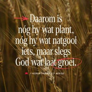 1 KORINTIËRS 3:7 - Dit gaan dus nie om die een wat plant of die een wat natgooi nie, maar om God wat laat groei.