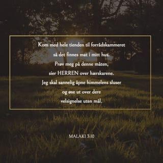 Malaki 3:10 NB