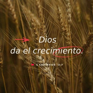 1 Corintios 3:7 - No importa quién planta o quién riega; lo importante es que Dios hace crecer la semilla.