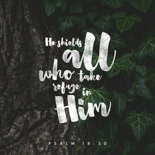 Psalms 18:30-31 - As for God, his way is perfect:
The LORD’s word is flawless;
he shields all who take refuge in him.
For who is God besides the LORD?
And who is the Rock except our God?