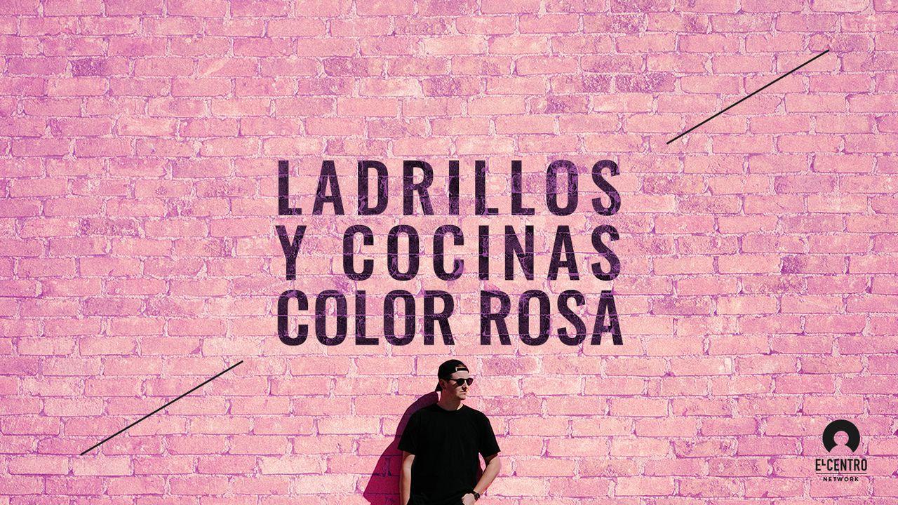 Ladrillos y cocinas color rosa