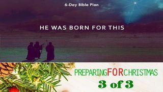 He Was Born For This - Preparing For Christmas Series #3