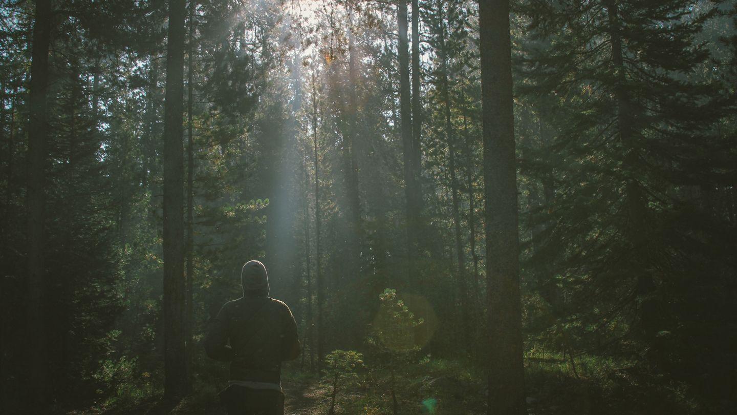 Illuminate: A 21-Day Journey