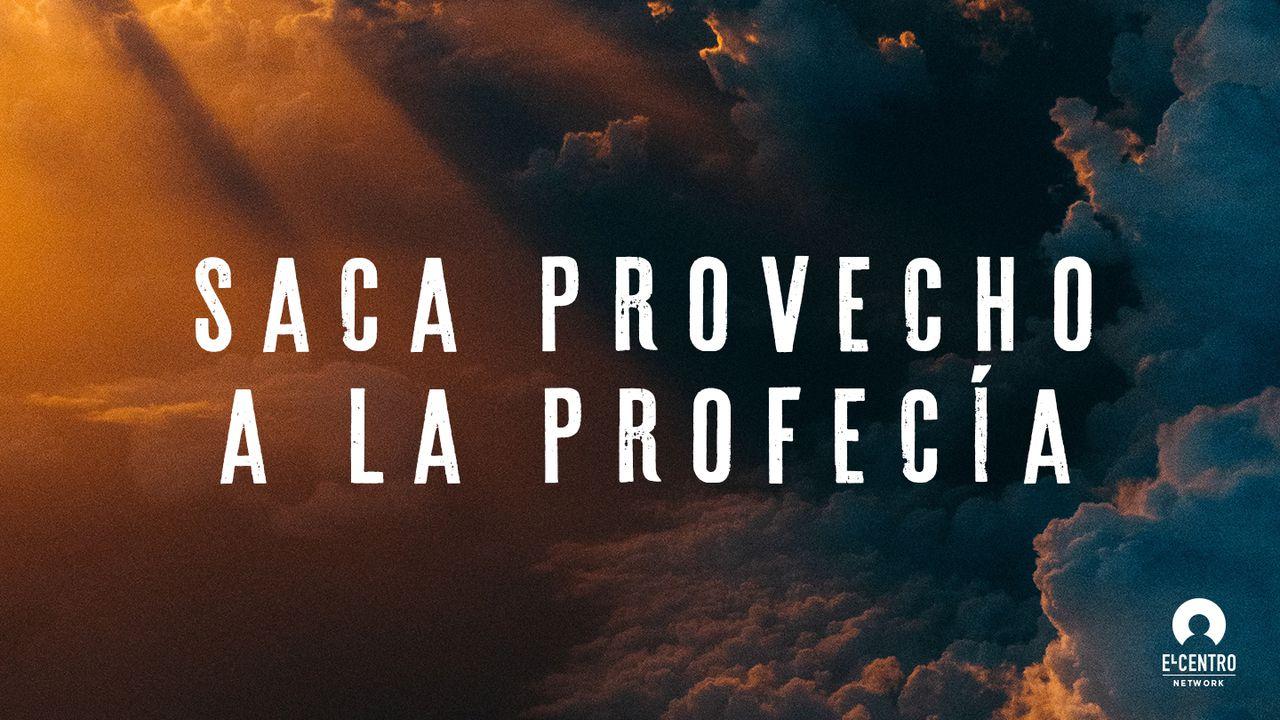 Saca  provecho a la profecía 