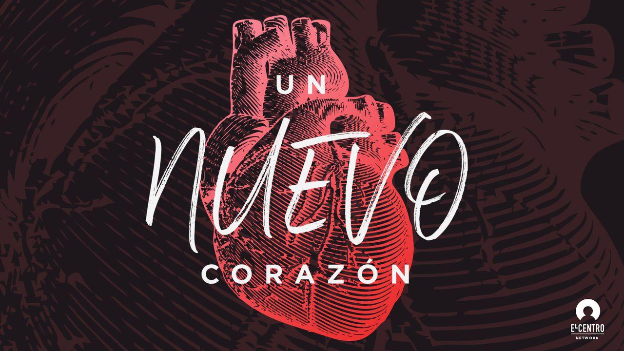 Un nuevo corazón