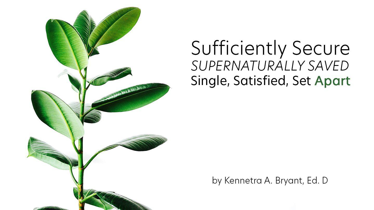 Sufficiently Secure, Supernatually Saved, Single, Satisfied & Set Apart Salmos 20:7-8 Bíblia Sagrada, Nova Versão Transformadora