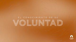 El conocimiento de su voluntad Colosenses 2:6-14 Traducción en Lenguaje Actual