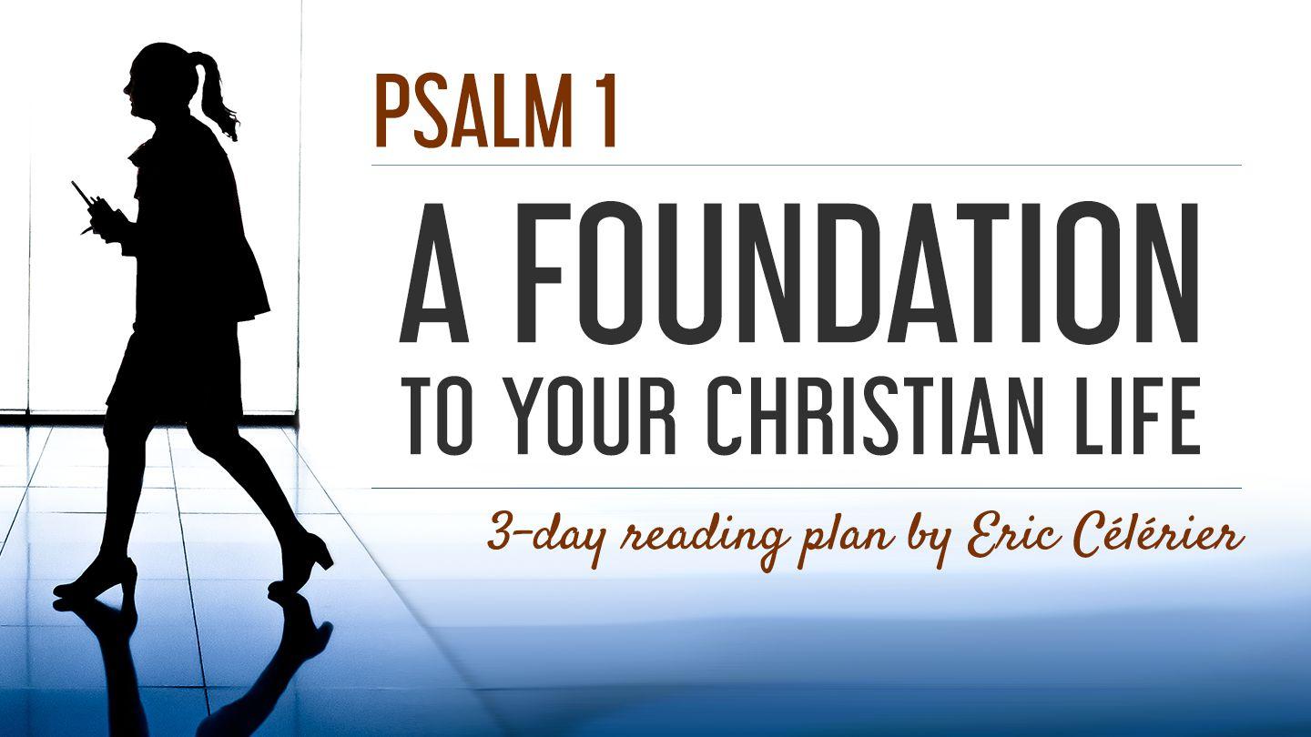 Psalm 1 - A Foundation To Your Christian Life Matthew 5:3-16 The Message