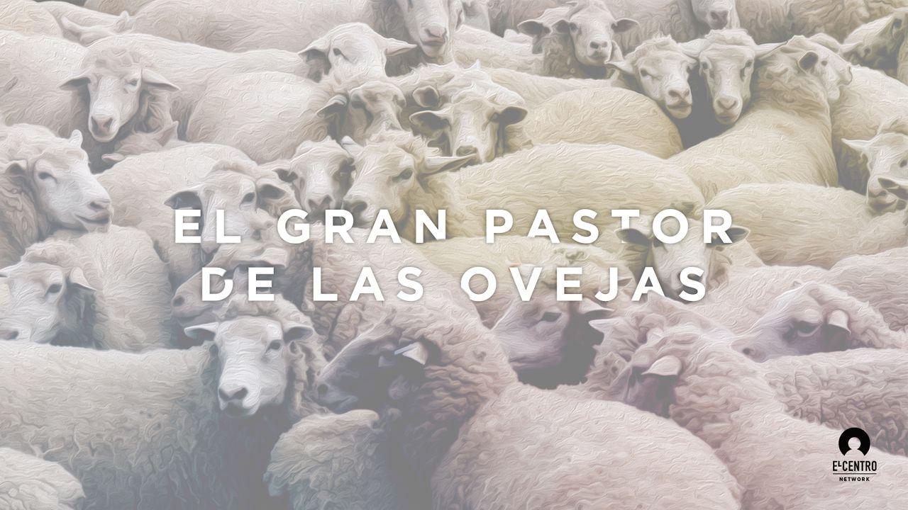 El gran pastor de las ovejas