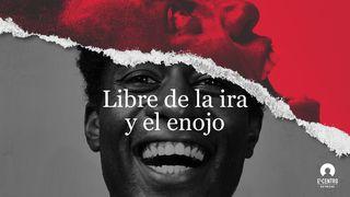 Libre de la ira y el enojo