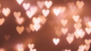 What Is Love? 1 Corinthians 13:4-5 New American Standard Bible - NASB 1995