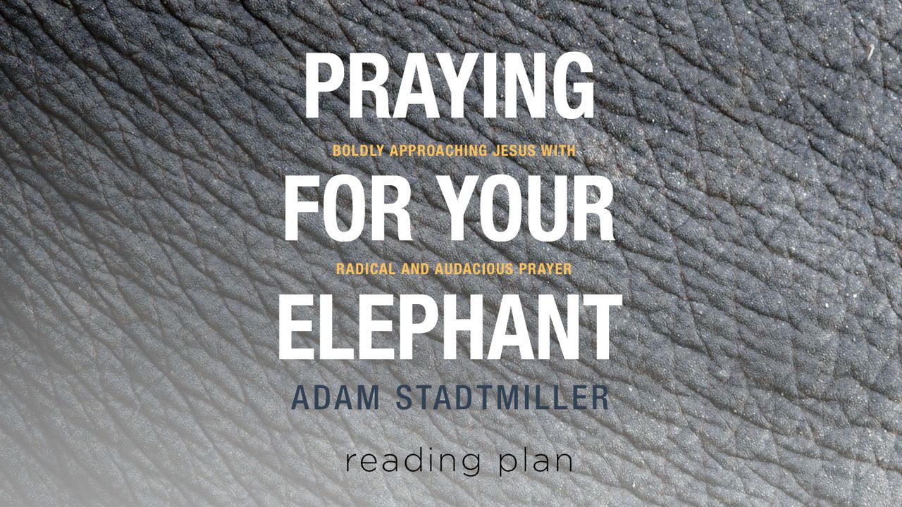 Be for elefanten i rommet ditt- Be dristige bønner