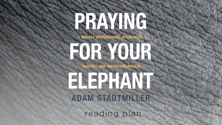 Rukoile norsusi puolesta - rukoile rohkeasti