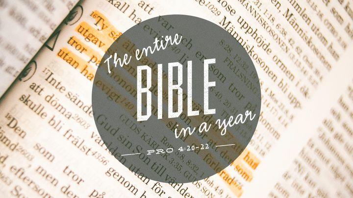 THE BIBLE in a year