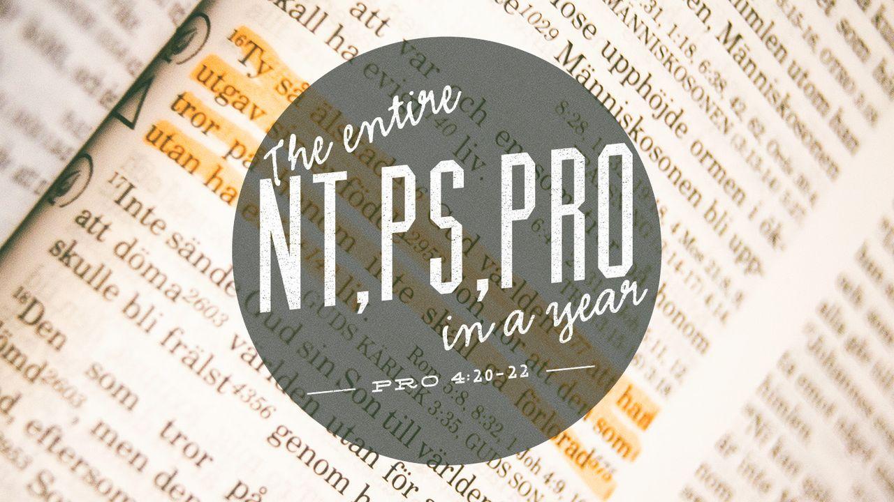 NT, PS, PRO In One Year