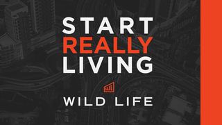 Див живот – започнете да живеете истински